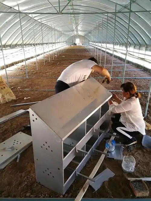 散养鸡的三种鸡舍建设方法(经典)