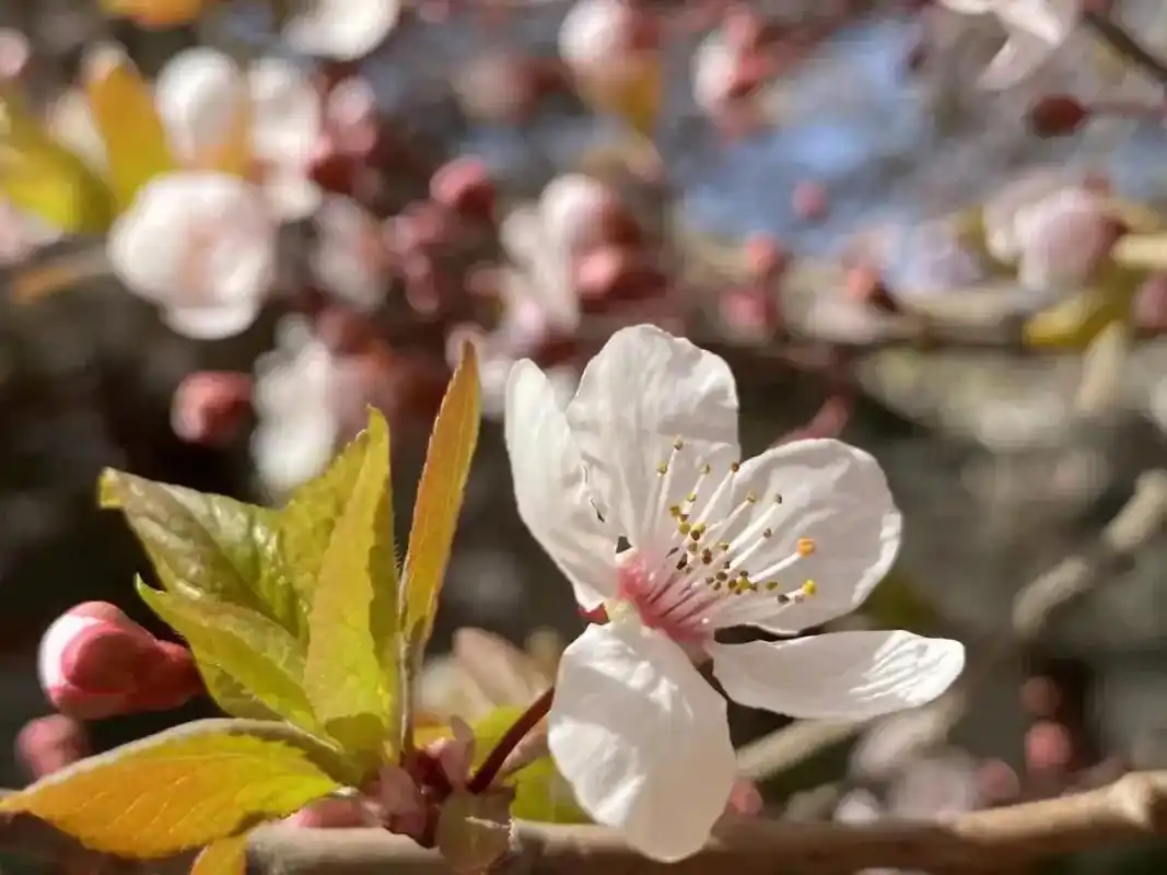 姥姥离开的第十四天