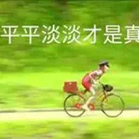 平平淡淡才是真表情包_微信头像图片大全