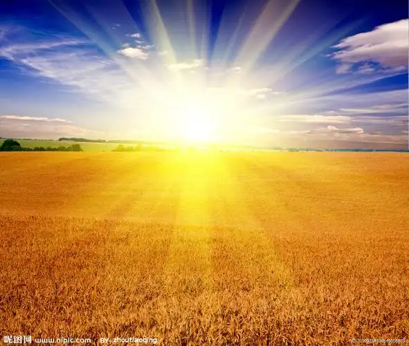 【杨柳】面对软弱的自己(随笔)