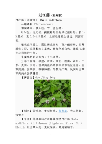 过江藤(鱼鳅窜).doc