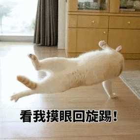 看我摸眼回旋踢!_摸眼_回旋表情