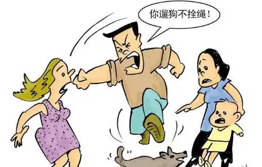 被狗咬时,把狗踢死了怎么办?《民法典》新规:很多人都不知道吧