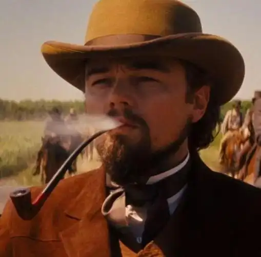 savinelli的烟斗非常精致