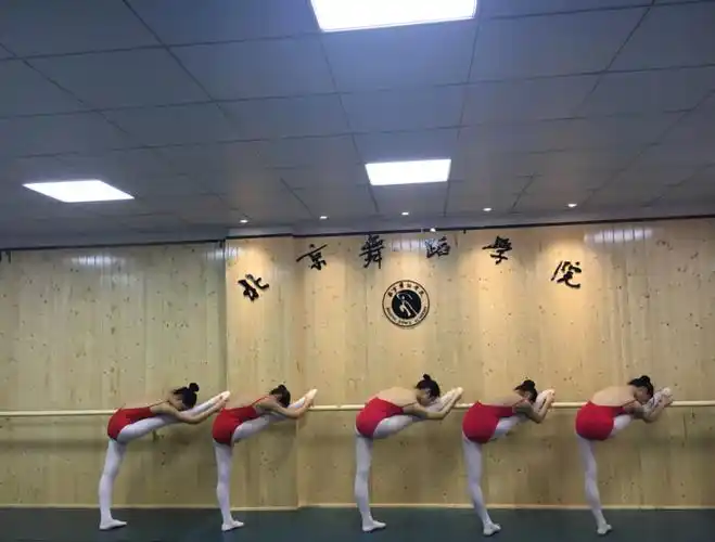 北京舞蹈学院附属中等舞蹈学校北京舞蹈学院附中词条信息词条浏览