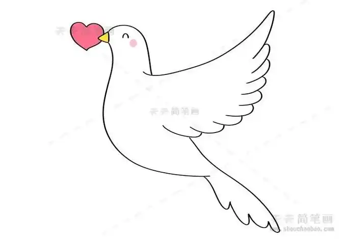 立体鸽子简笔画