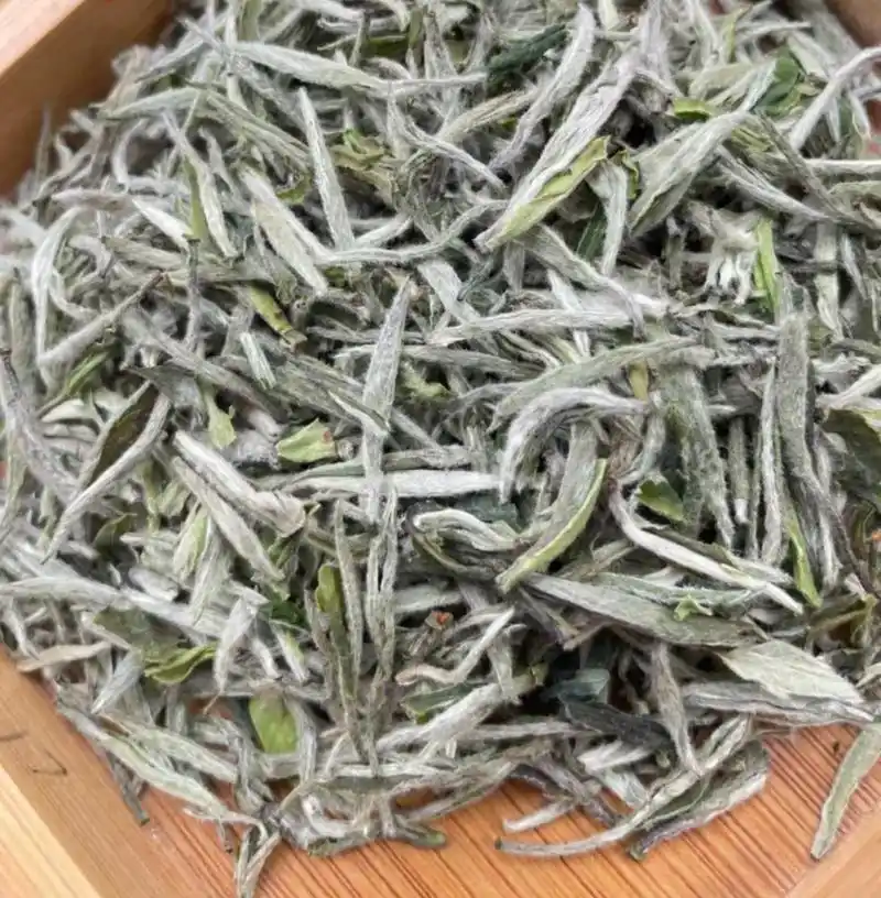 @济南广友茶城(御榕堂) #福鼎白茶 ,了解更多茶知识,白毫 - 抖音