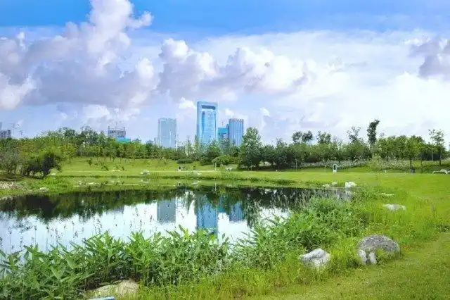 (天府中央公园实景图)
