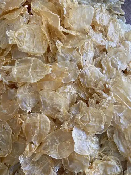 38头精选蜘蛛胶