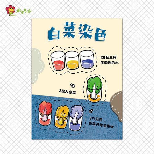 幼儿园科学区小实验主题墙环创莫兰迪蓝海绵运水有趣静电磁铁贴纸