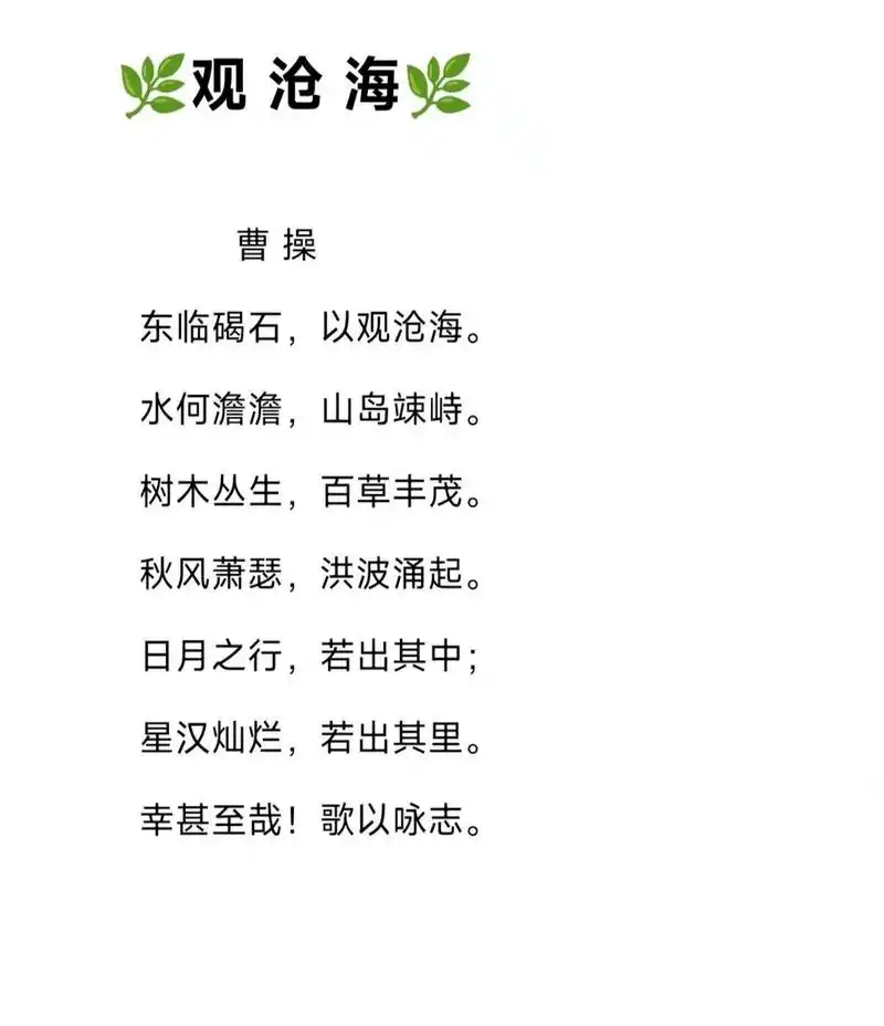 (岛上)树木丛生,百草繁盛.