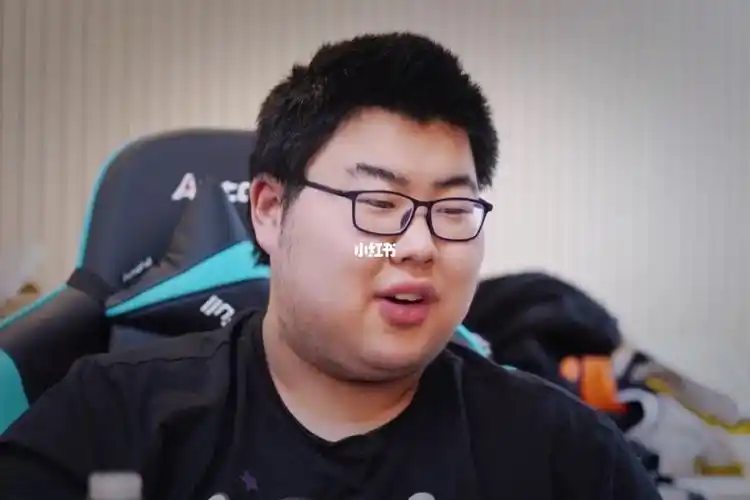 想了解qg小胖的的所有比赛经历