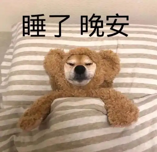 萌宠汪星人睡了晚安搞怪逗gif动图_动态图_表情包下载_soogif