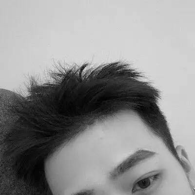 野洵 半脸头像喜收藏 禁二传.