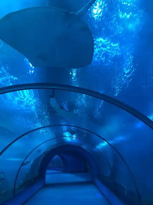 天柱山欢乐海洋大世界