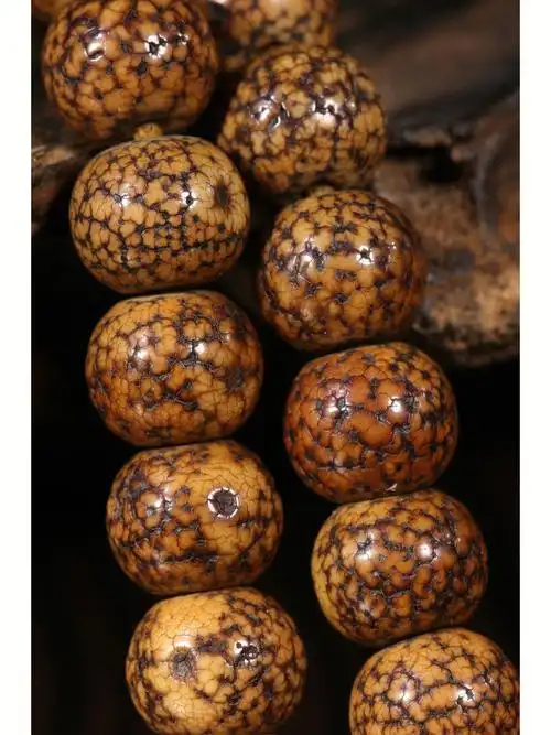 顶级满开片星月菩提