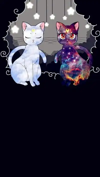 猫咪- 堆糖,美图壁纸兴趣社区