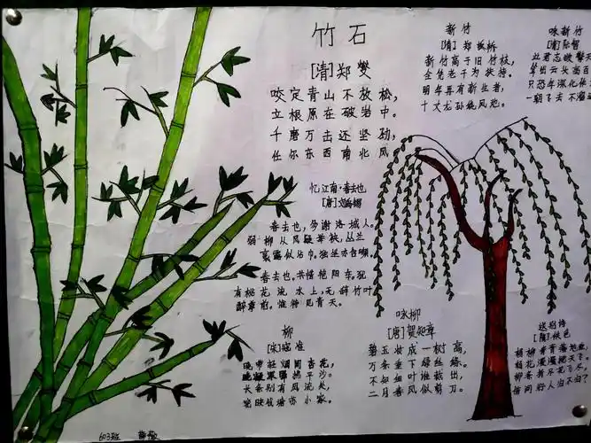 一诗一画总关情 ——记爱孚实验学校学生诗词手抄报作品展