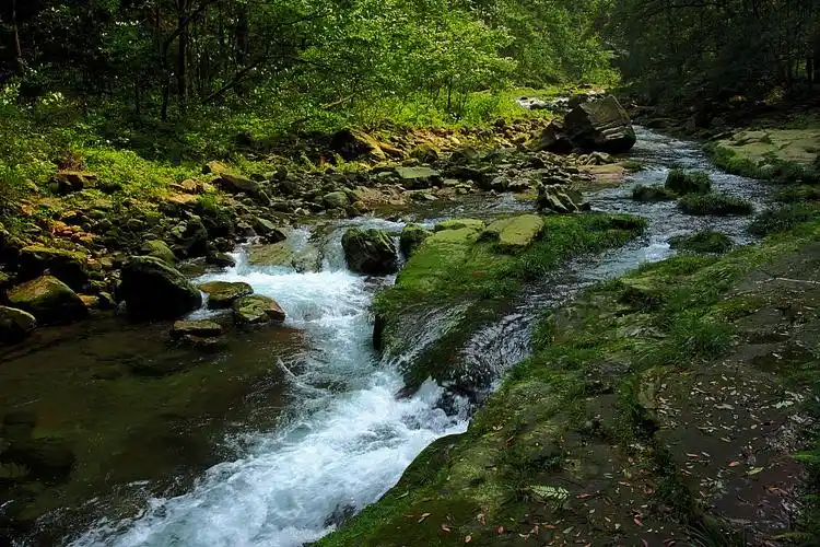 山间小溪(拍于武陵源)