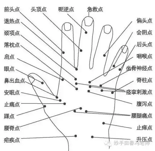 全息图谱针灸专业必备拥有完美疗效