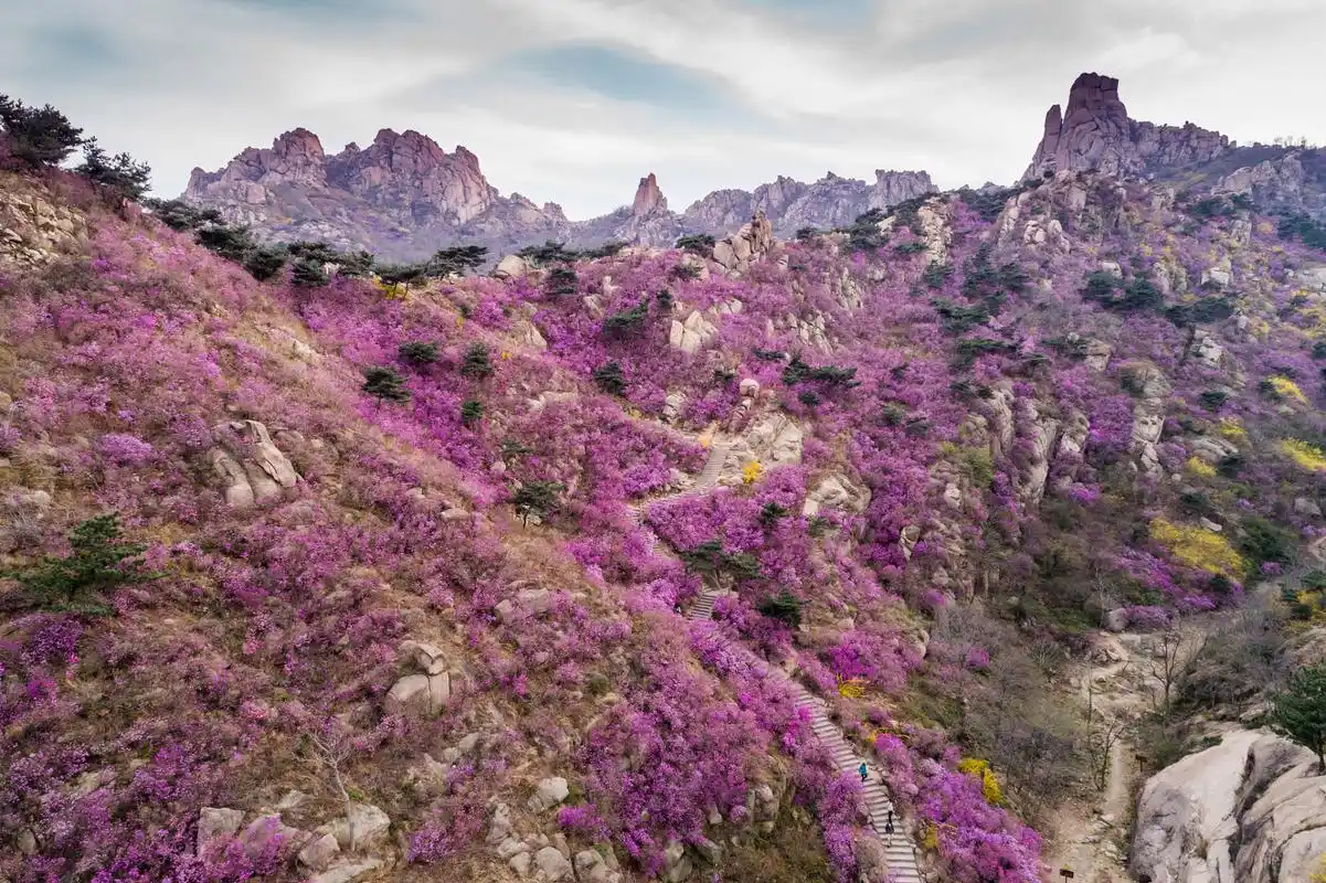 青岛大珠山风景区  大珠山为国家4a级景区,位于黄岛区黄海之滨,主峰大