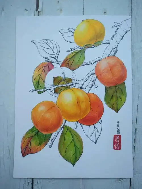 柿子绘画原创与马可同行遨游绘画宇宙第九站