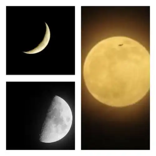 "那咱们一起来看一看是不是这样的呢?" "哇,真的有半圆形的月亮"