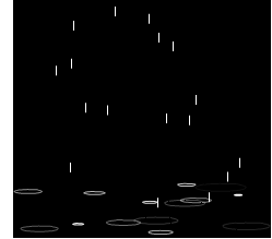 239_219gif 动态图 动图