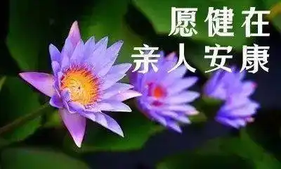 愿逝者安息,一切安好!祝生者安康,珍惜当下!