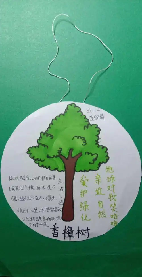 【开心八小·实践活动篇】我给绿植做名片——"宅