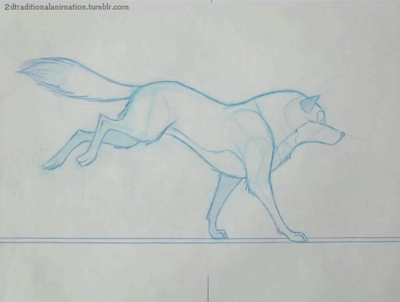 「狗」走路运动规律跳跃动画运动规律松鼠拟人走路的动画运动规律他们