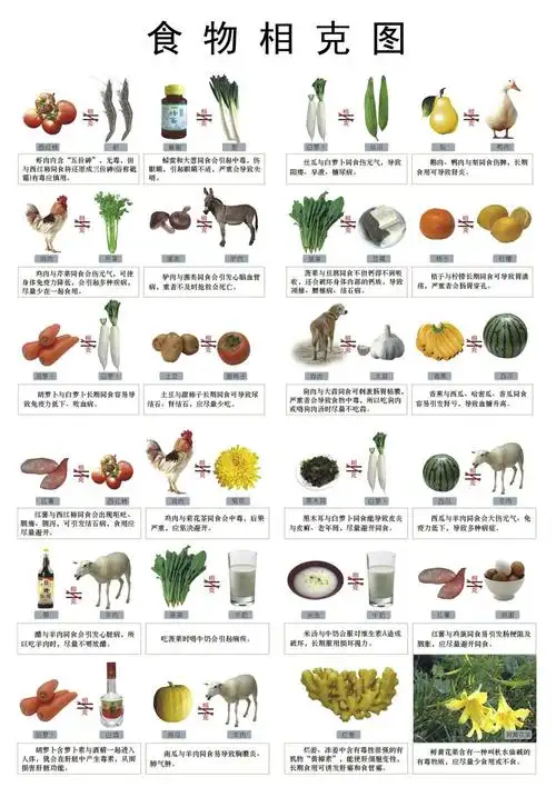 谁能给我食物相克图 我要全的 清楚的