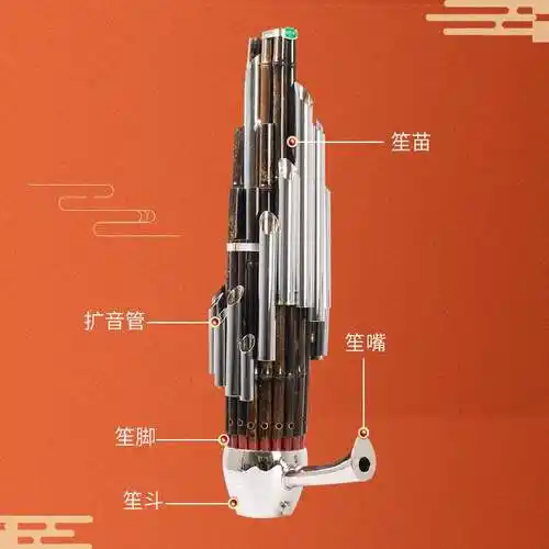 乐器扩音天津精艺王泽爽学生初学独奏民族乐团笙