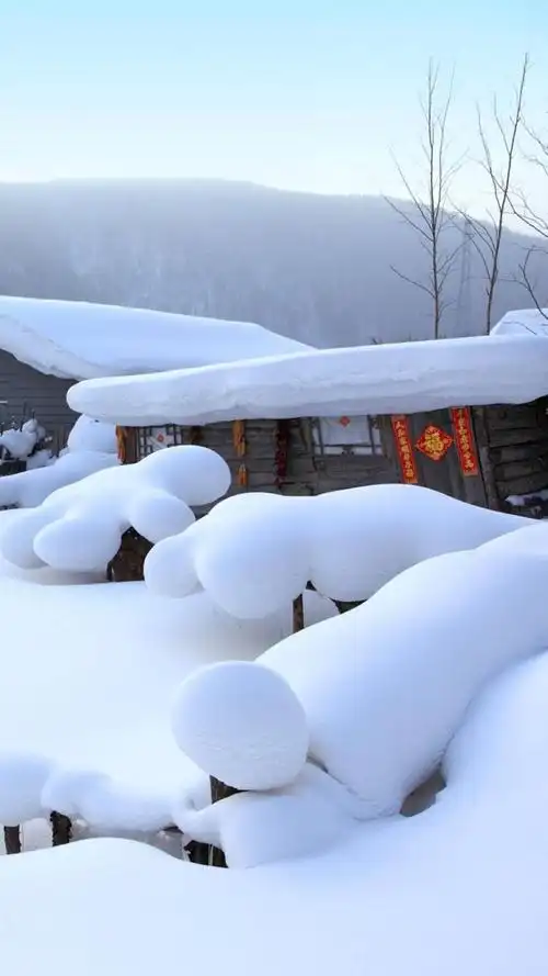 乡村新年雪景