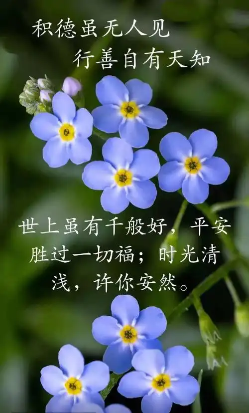 图配文:平安是福摄影:张玉勤摄影图配诗:张玉勤京剧:《将相和》蔺相如