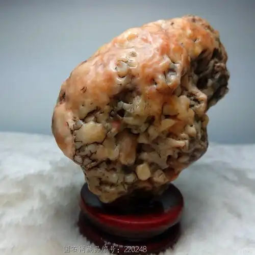 石馆 白云奇石店  玛瑙象形石(小鸡) 藏品名称:玛瑙象形石(小鸡) 石种