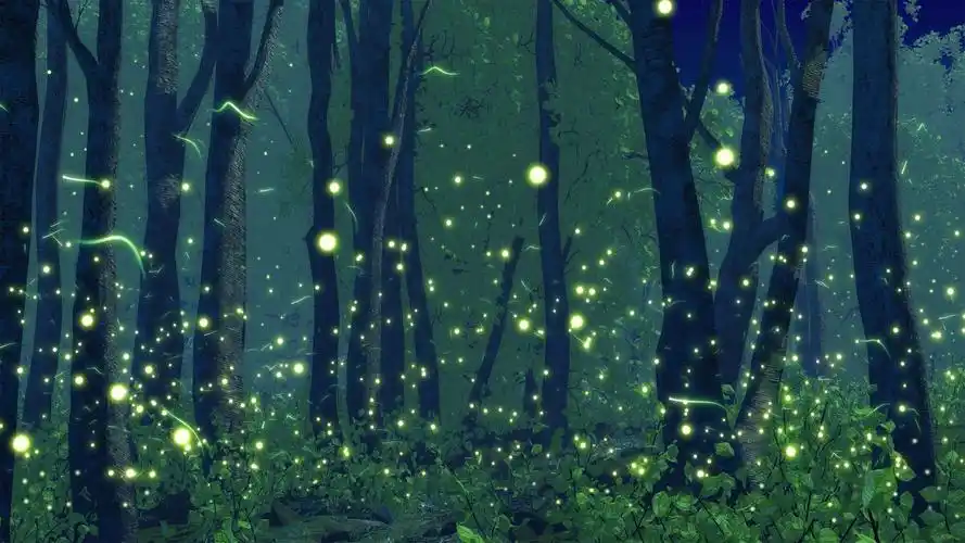 飘扬(七) 写美篇  黑夜真正降临的时候,才发现无数萤火虫般的发光者