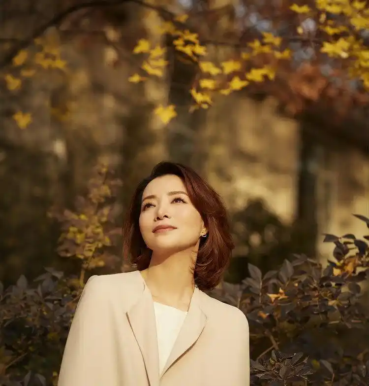 董卿为了极致理想我常把团队逼上悬崖