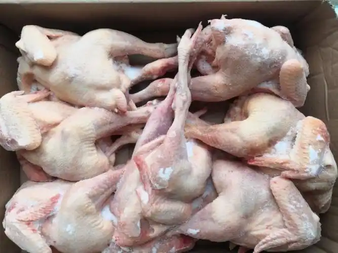 优质红毛老母鸡批发山东临沂市优质红毛老母鸡价格_肉交所