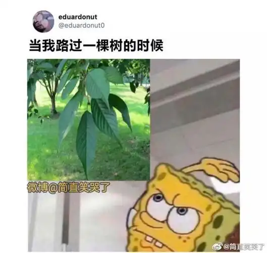在我家发现了沙雕网友的监控摄像头过于刺激