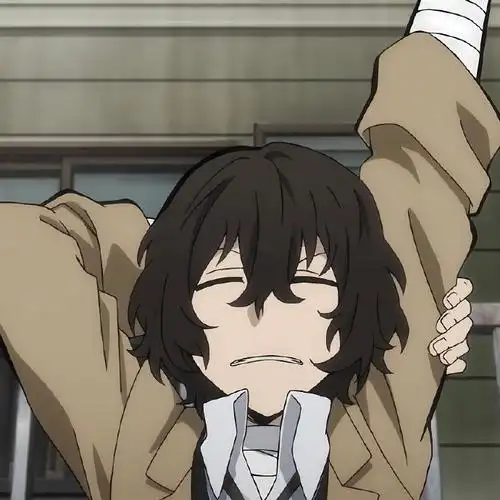 文豪野犬#超可爱的太宰头像  抱图吱