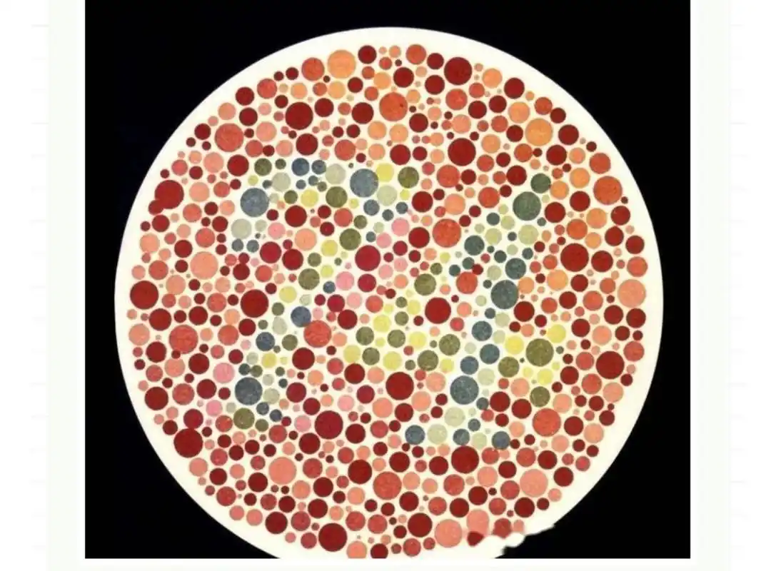 车管所新版色盲测试图 快来试试!