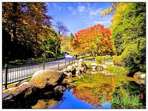 枫叶流丹醉秋山庐山植物园第七届红叶节即将开启