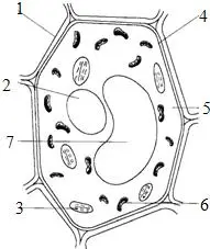 白细胞战士简笔画病毒可爱简笔画细胞简笔画怎么画细胞简笔画彩色白