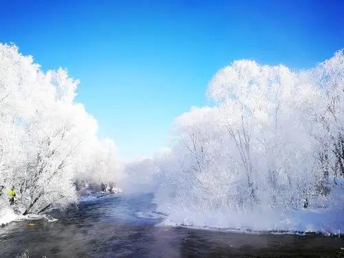 北国风光,独独是东北的雪景最让人流连忘返