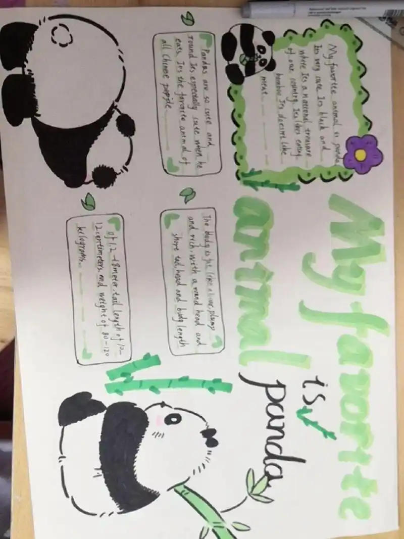 my favorite animal的手抄报 第一次发