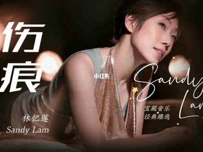 林忆莲伤痕遭受过分手打击的男人慎听