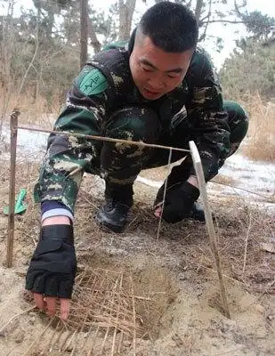 (诱捕野鸡/黄鼠狼等小型动物的陷阱)(绊脚套陷阱.