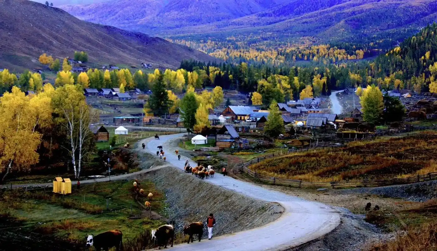 白哈巴村游记.白哈巴村(白哈巴景区)被称为西北第一村和西北第 - 抖音