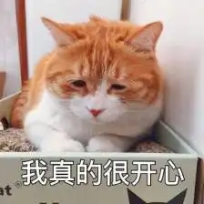猫咪gif毛茸茸gif喵星人gif我真的很开心gif
